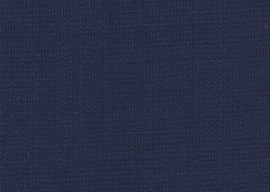 French Navy