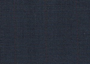 Blue with Plum Stripe