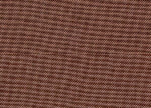 Plain Burnt orange