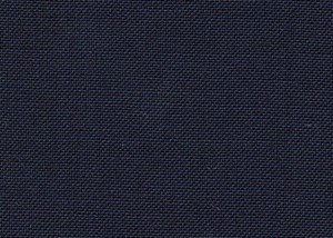 Plain French Navy