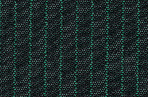 Green/Green Stripe