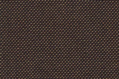 Plain Gold/Black 