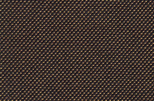 Plain Gold/Black 
