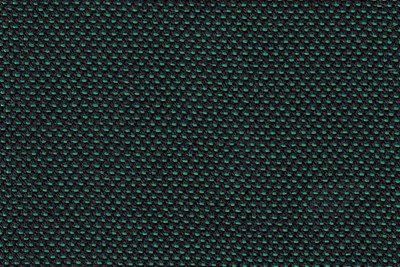 Plain Green/Black 
