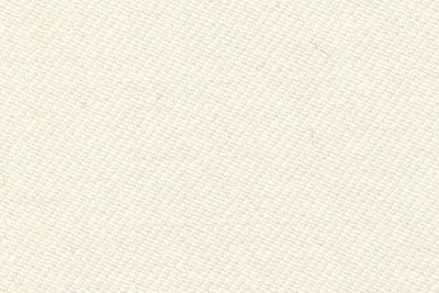 Plain Off White Twill