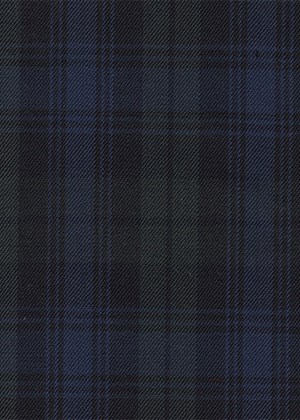 Black with Green & Blue check