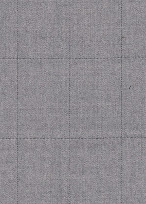 Light Grey Check