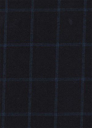 Black with Blue Overcheck