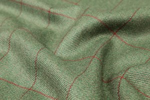 Green with Red check
