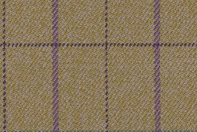 Beige/Green with Purple & Green check