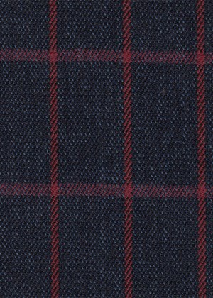 Navy with Red & Purple check