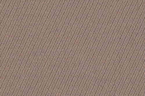 Plain Cavalry Twill Biscuit