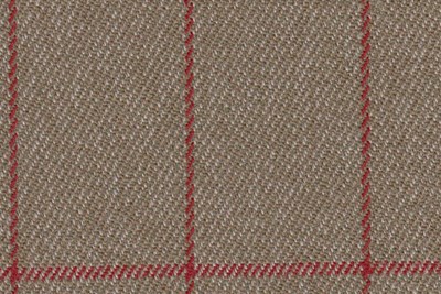Biscuit with Red Check