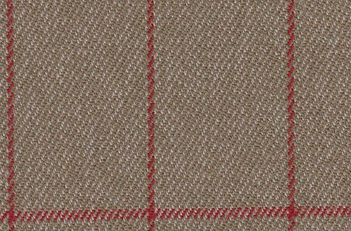 Biscuit with Red Check