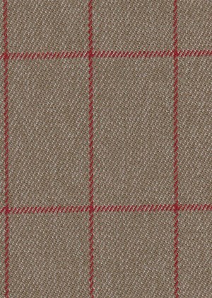 Biscuit with Red Check