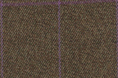 Green/Brown with Purple check