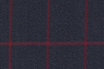 Navy with Burgundy Check