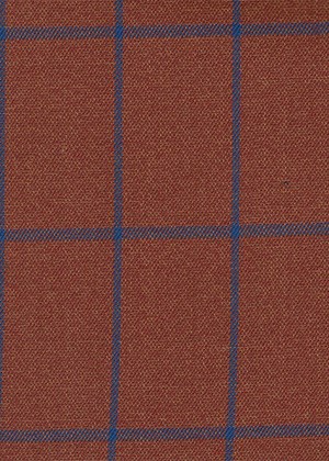 Orange with Bright Blue Check