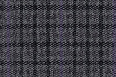 Grey with Purple & Black Check
