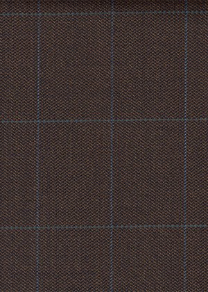 Brown with Light Blue Check