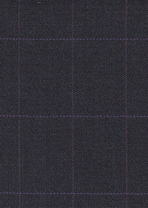 Grey with Purple Check