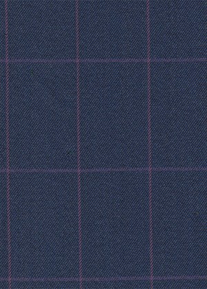 Blue with Purple & Pink Check