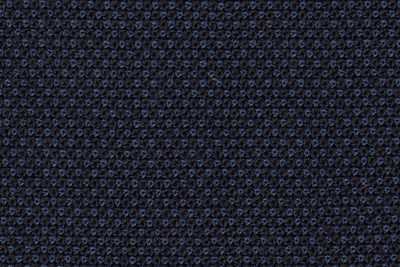 Navy Birdseye