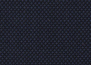 Navy Birdseye
