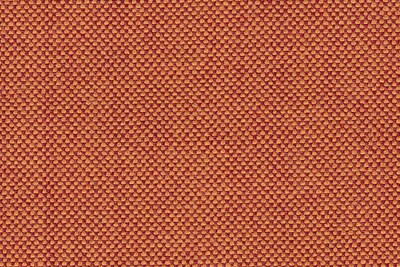 salmon plain