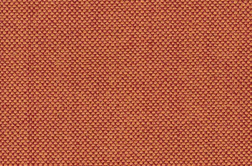 salmon plain