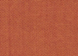 salmon plain