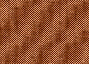 light brown plain