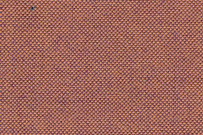 Purple/Gold plain