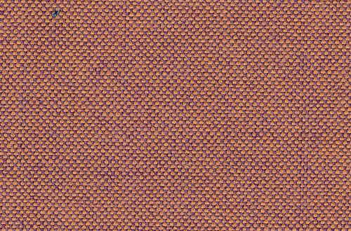 Purple/Gold plain