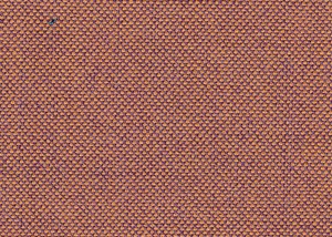 Purple/Gold plain