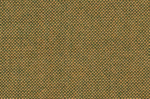 Green/Gold plain