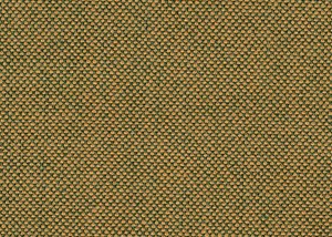 Green/Gold plain