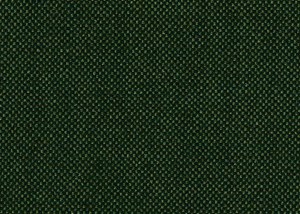 Green/Green plain