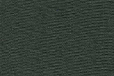 Dark Green Plain