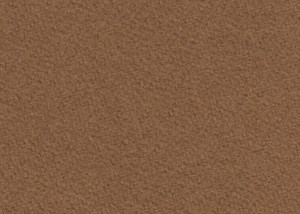 Camel Twill