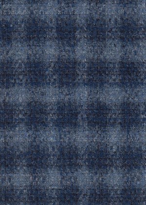 Blue with Light blue Check