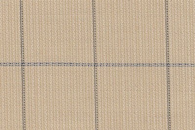 Beige with Black Check