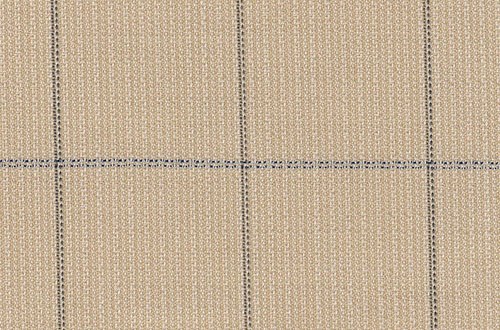 Beige with Black Check