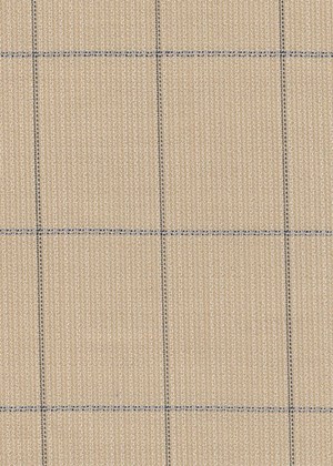 Beige with Black Check