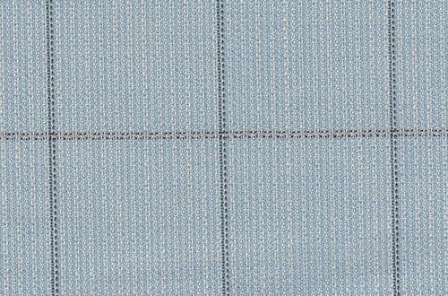 Light Blue with Black check