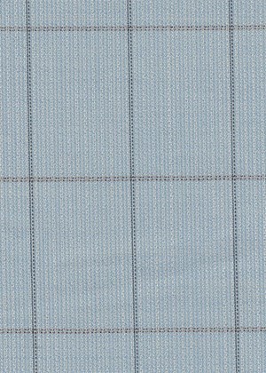 Light Blue with Black check