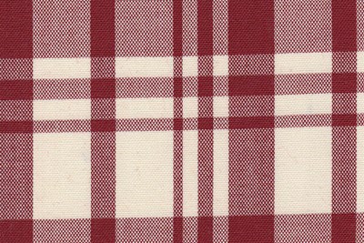 Cream w/Burgundy Check