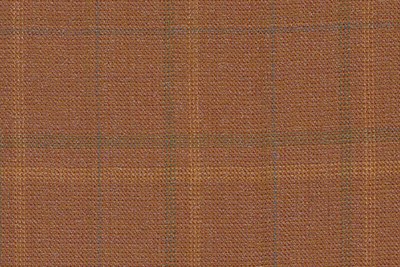 Subtle Orange Windowpain check