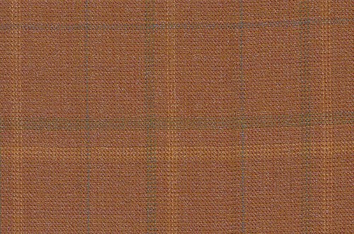 Subtle Orange Windowpain check