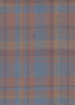 Orange & Blue Fancy Check
